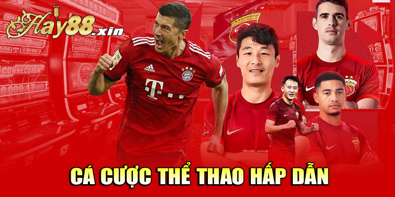 Cá cược thể thao hấp dẫn