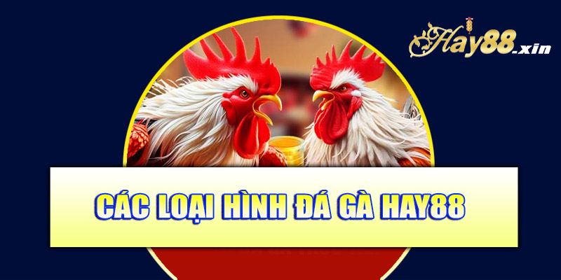 Các loại hình đá gà Hay88