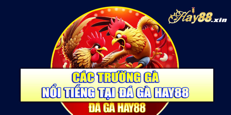 Các trường gà nổi tiếng tại đá gà Hay88