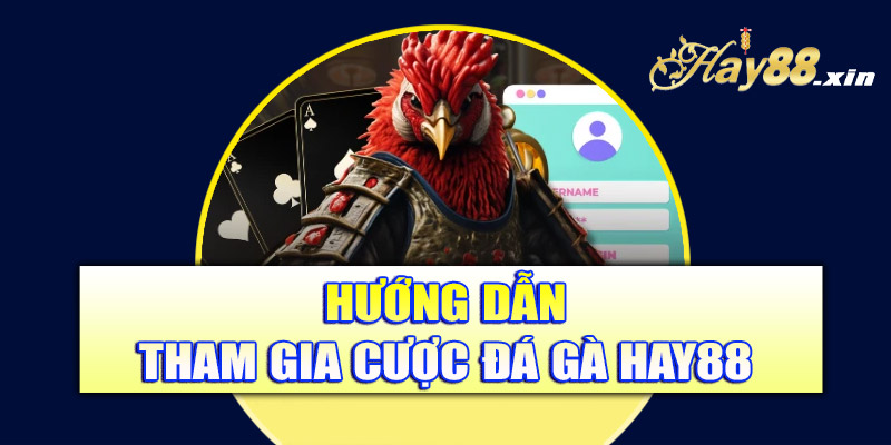 Hướng dẫn tham gia cược đá gà Hay88