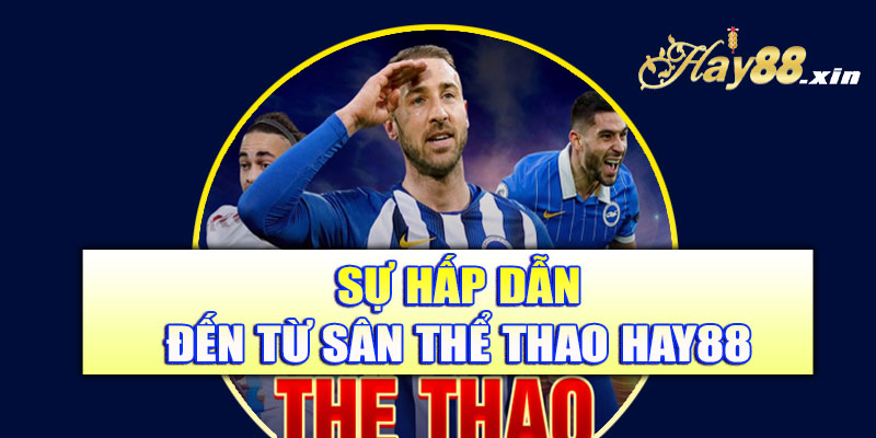 Sự hấp dẫn đến từ sân thể thao Hay88