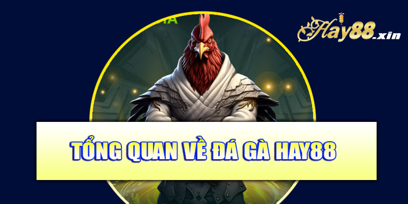 Tổng quan về đá gà Hay88